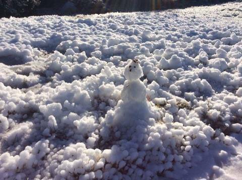 COMMUNITY: A snow man Greg Appleton found in his front yard on the Sunday morning he successfully created snow. He said he will continue to create snow over winter. Photo: supplied.