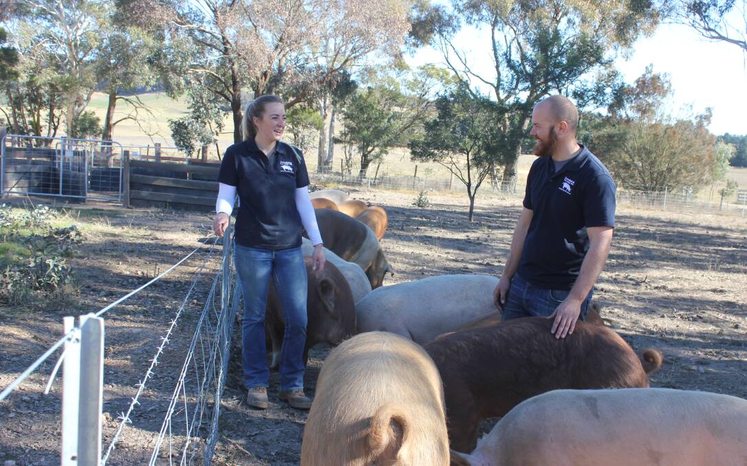 WINNERS: Farmers Ebony Garner and Eli Bailey have won gold at the 2017 Australian Food Awards for their branded pork.Photo: Mariam Koslay. 