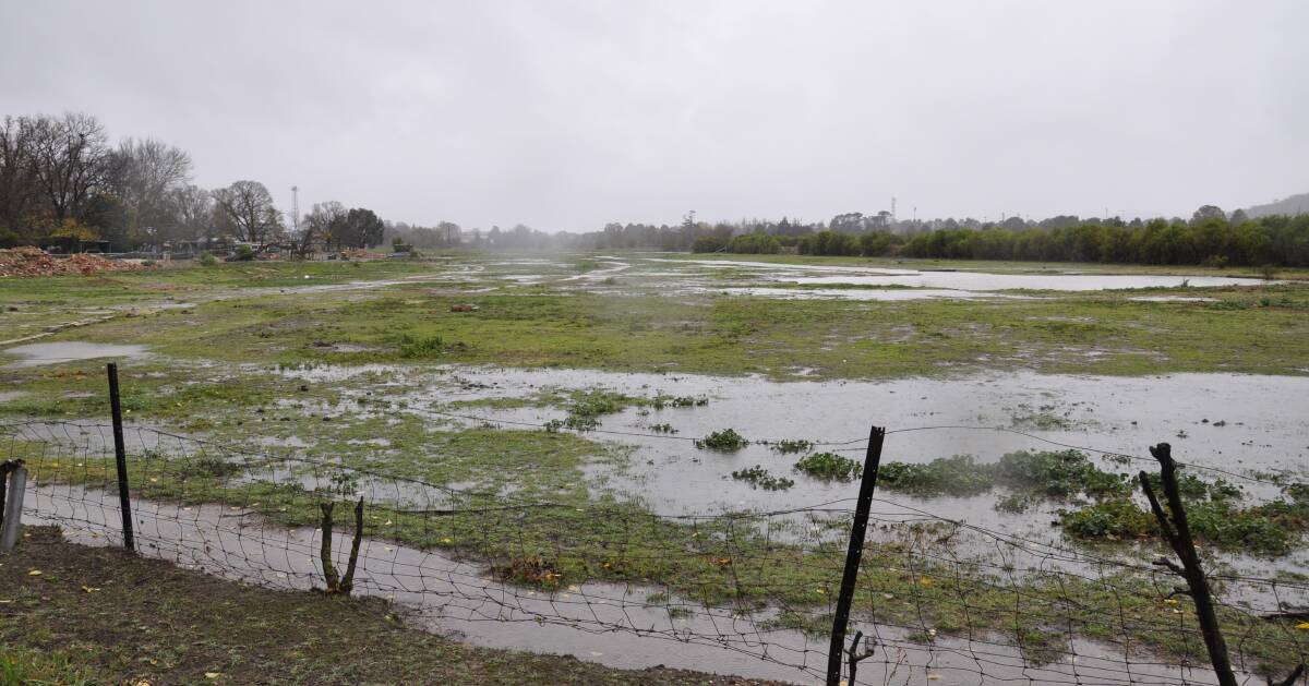 WET AND WILD: Flooded grass due to minor flooding earlier this year. Photo: Louise Thrower. 