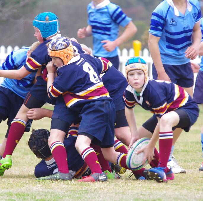 CLEARING: Trinity under 14s' Angus Dalglish looks to pass the ball out after Zac Willoughby (yellow head gear) clears it from the ruck. Photos: Darryl Fernance