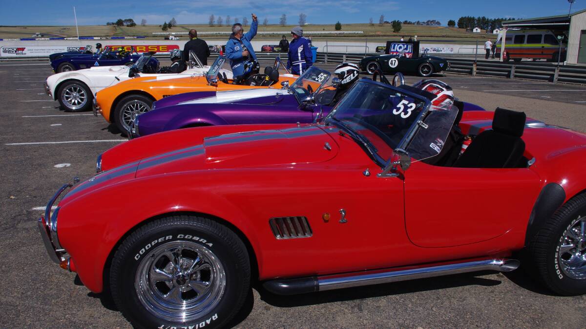 MARSHALLED: Some of the slower Cobras and their drivers assembled waiting to go out onto the Wakefield Park track for their hot lap on Saturday afternoon. Photo: Darryl Fernance