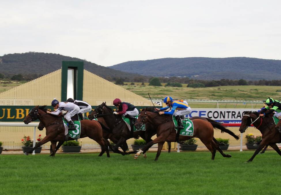WINNING: Blake Shinn aboard Dark Eyes wins the Goulburn Cup  for the Gai Waterhouse / Adrian Bott stable in one of the closest finishes for the day. Photo: Darryl Fernance