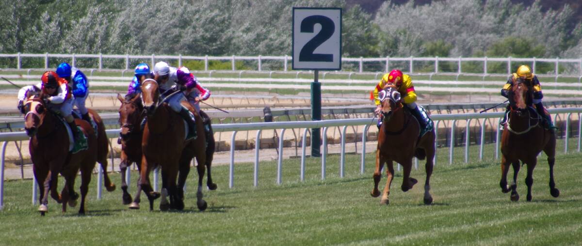 HEADING FOR THE POST: Horses in one of the Goulburn Spring Racing Carnival events last yeart  head toward the Goulburn and District Racing Club winning post. Photo: Darryl fernance