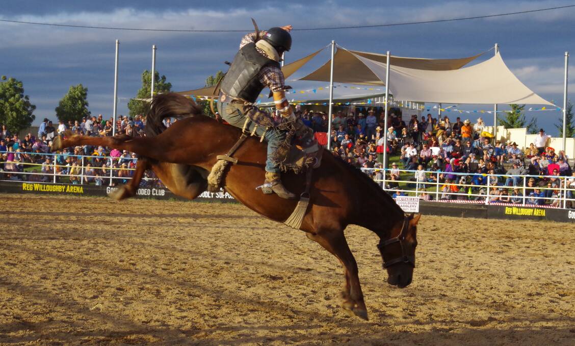 BAREBACK: Open bareback rider in 2017, some of the improved facilities the Rodeo club has progressively installed and upgraded. Photo Darryl Fernance 
