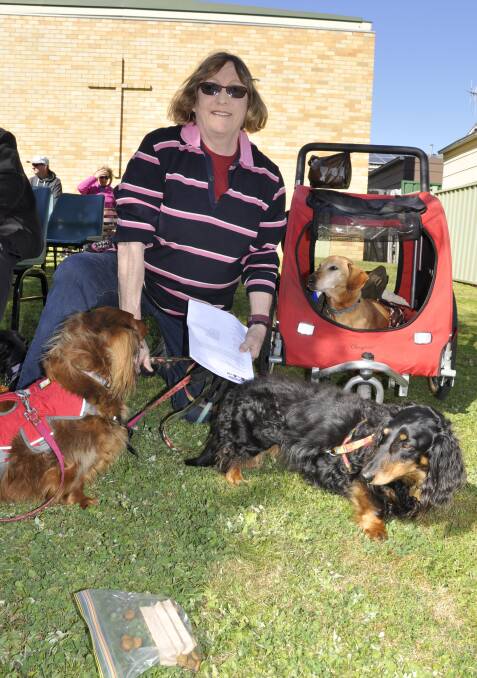 Blessing of the pets Goulburn
