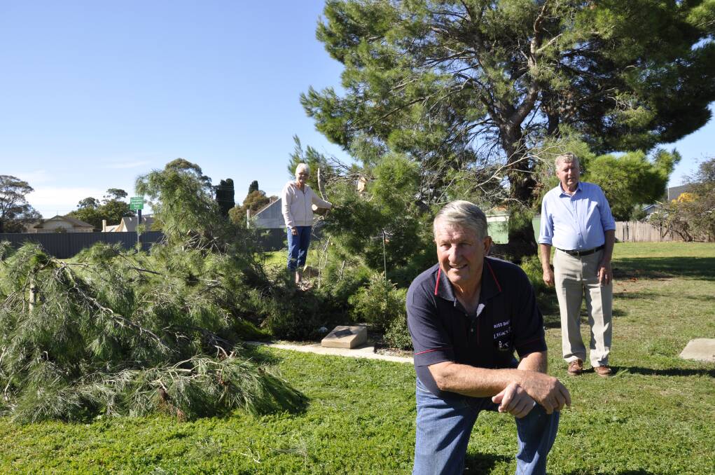 FAVOURITE: Chairman of the Legacy Lodge committee, Russell Sheely, Goulburn  Legacy president Jean Lloyd and committee member John Sturgiss lament the fallen Gallipoli pine. Photo: Louise Thrower.