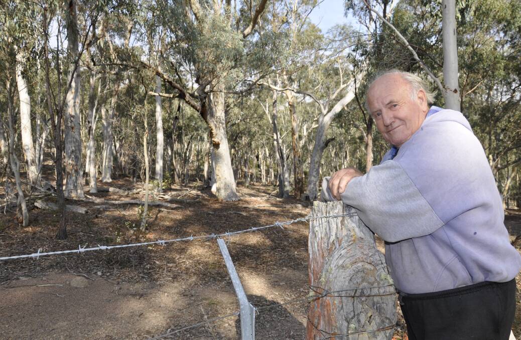 PLANTING THE SEED: Peter Andrews argues eucalypt trees are toxic to the ground and waterways, undermine fertility and kill fish.  