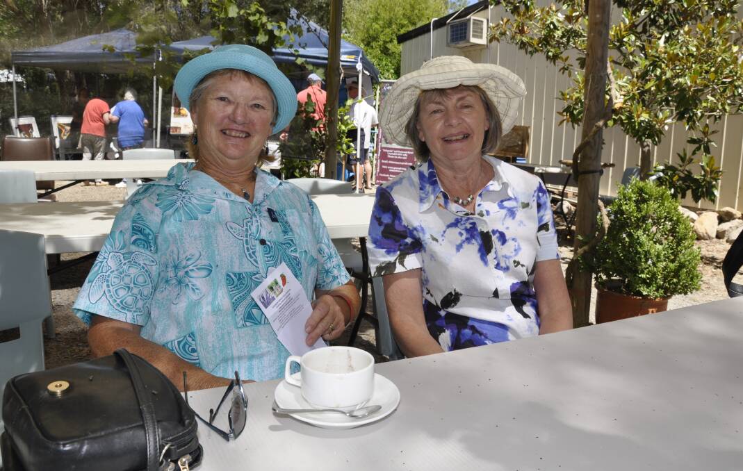 Middle Arm resident and chair of Goulburn's branch of NSW Farmers Association, Margaret Cameron, with Lorraine Sweeny, of Goulburn.