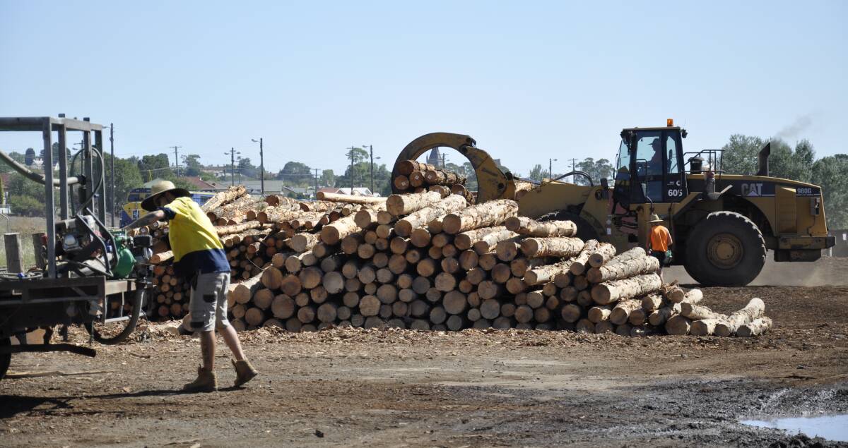 Logs from a yard at the Goulburn rail hub are loaded into containers for treatment with methyl bromide, a strictly controlled process, before being loaded on trains and taken to port for export.
