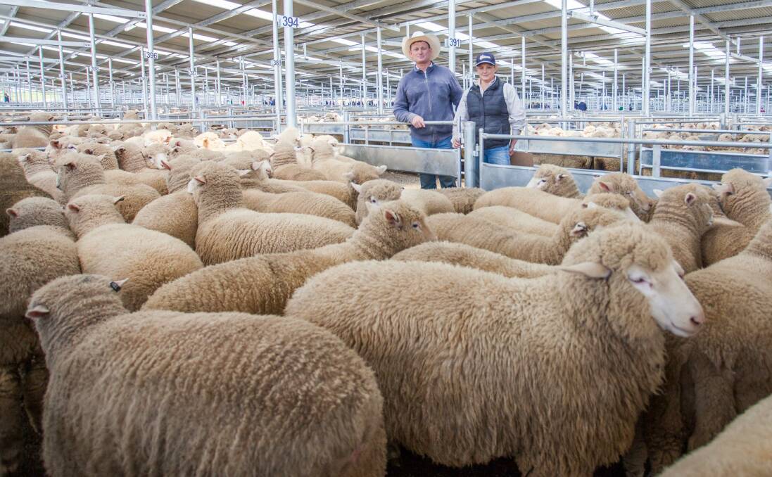 GOOD PRICE: Greg Anderson and Mel Marshall of MD & JJ Anderson sold crossbred suckers on behalf of Jacqui Arabin Bourlet, Binalong for $165 per head at last week's Yass sale. 