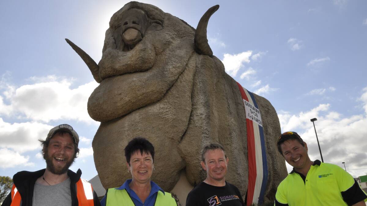 GRAND: Joe Caldwell and Paul Spence (Signage One) and Trent Douglass (Goulburn Motor Trimmers) pitched in to help Goulburn Show president Jacki Waugh sash the Big Merino on Tuesday. Photo: Louise Thrower.