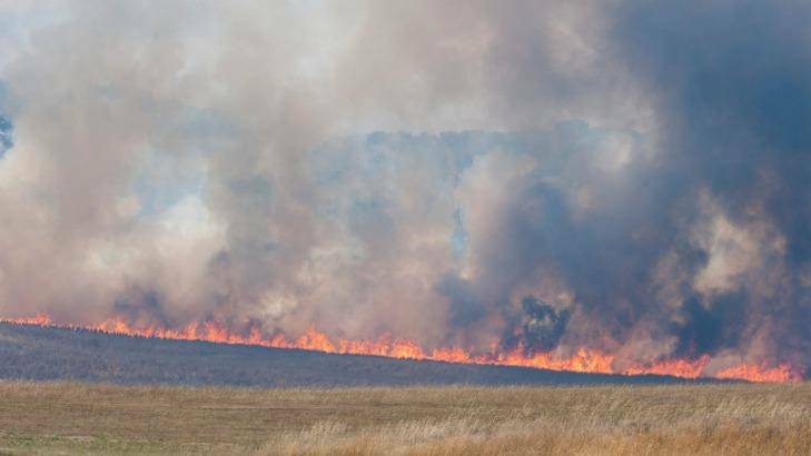 Authorities are still alert to bush fires. This was the beginning of the Currandooley fire which burnt almost 3400 hectares near Tarago in January. Photo: Elesa Kurtz.