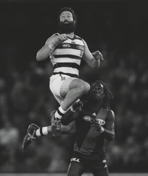 Jimmy Bartel flying high in one of his final games for Geelong in 2016. Photo: Michael Dodge