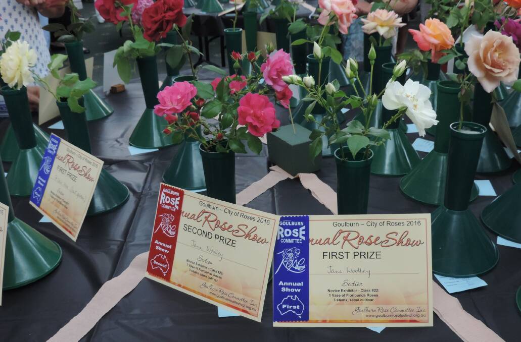Past winners of the rose competitions at the Goulburn Rose festival.