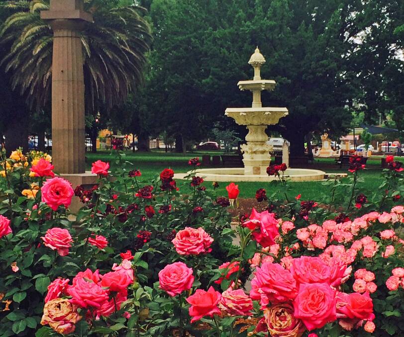 Belmore Park in full bloom is a lovely place to visit in Goulburn.