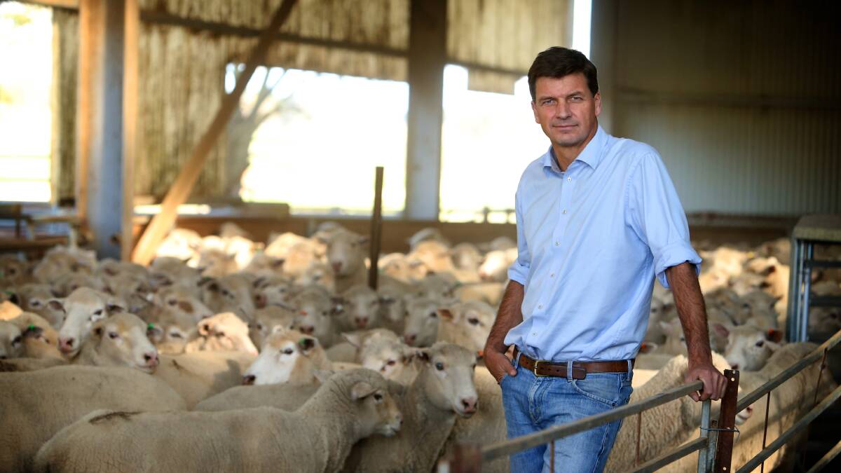 Federal Member for Hume Angus Taylor. 