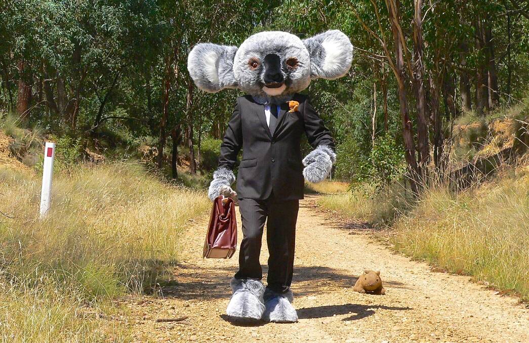 MAKING THE TREK: Cranky Koala (aka Mark Selmes) is all dressed up and on his way to the climate change forum in Goulburn on Thursday night. Photo: supplied