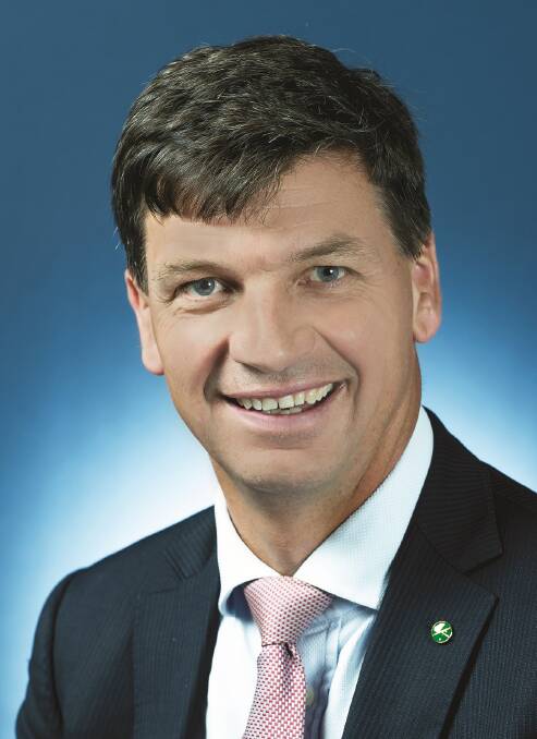 TAX CHANGE: Angus Taylor welcomes cuts to the backpacker tax.
