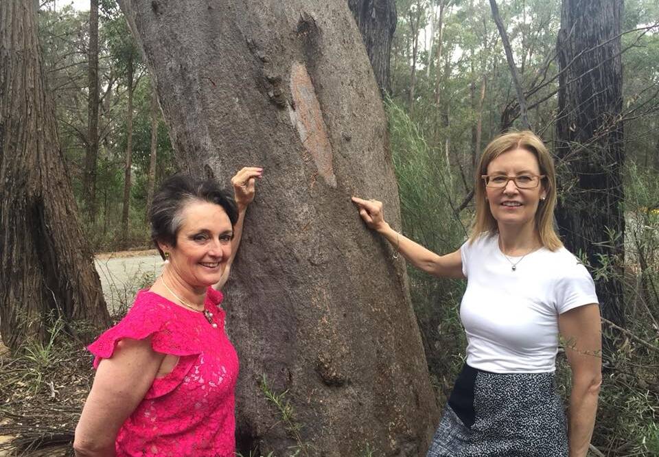 HABITAT:  Member for Goulburn Pru Goward and Minister for the Environment Gabrielle Upton at NSW’s first koala habitat reserve on Tugalong Road, Canyonleigh.