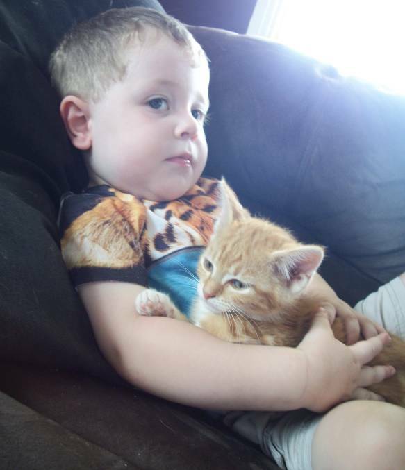 FRIENDS: Little Xander Bill with a kitten named Tigger. The kitten is currently available for adoption through Best Friends Pet Rescue. Photo: supplied