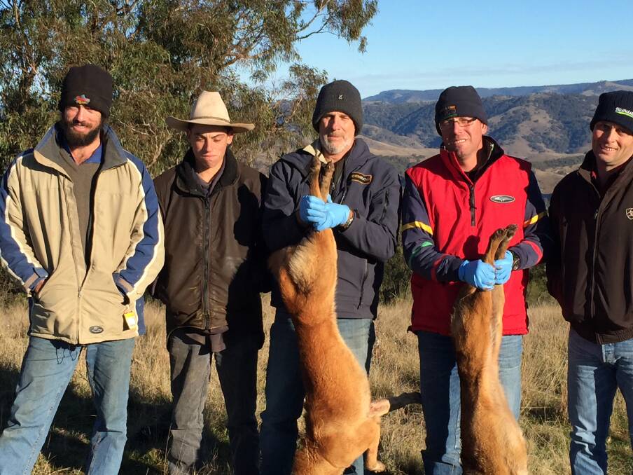 Dave Worsley with land owners learning how to trap wild dogs.