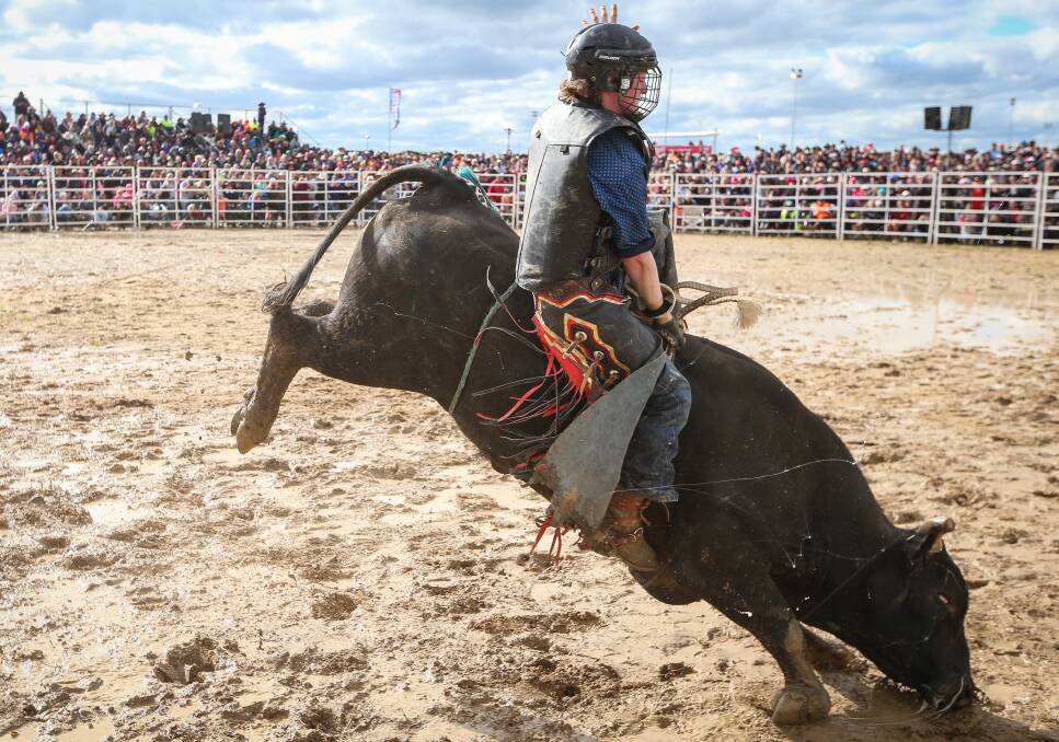 HOLD ON: Jarrod McKane from Wodonga takes charge at the Bullride Spectacular. The contest joined favourites, with the addition of the Brophy Bros Circus.

