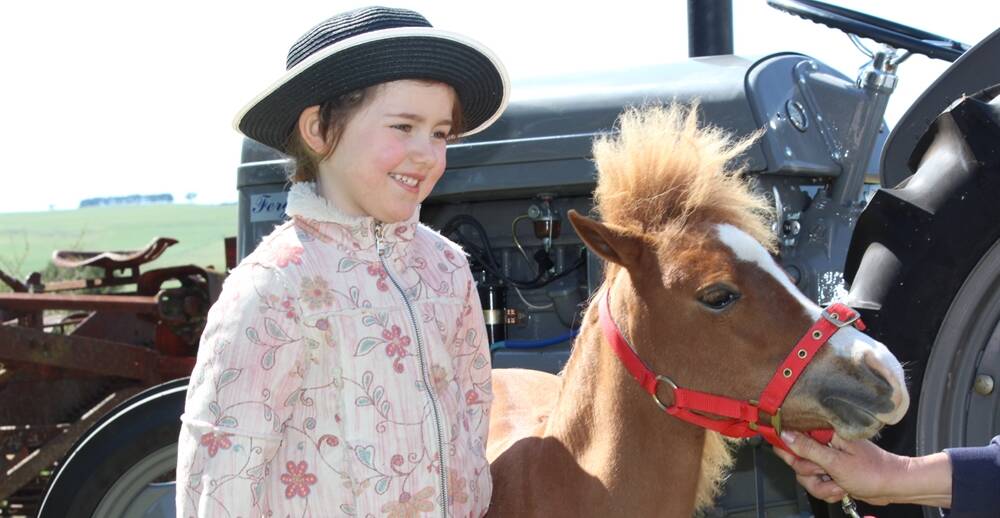 A LITTLE HORSE: Greta Con Mallesh makes friends with Danny D, the miniature Pintaloosa pony at the open day on Sunday.