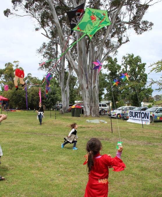 HIGH FLYERS: The Kite Festival is an annual gathering for all things kites on Sunday, October 30 at Tony Onions Park in George Street, 9am-3pm. Photo: David Dawson