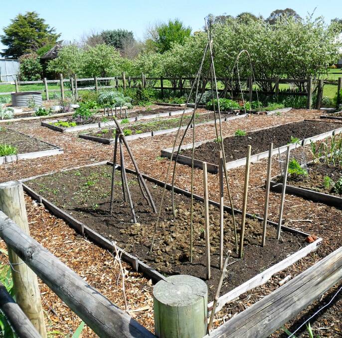 REALLY, REALLY EXCITING: The beginnings of Riversdale's garden makeover, with two volunteers turning it "into a true Victorian potager". Photo: Cliff Giles