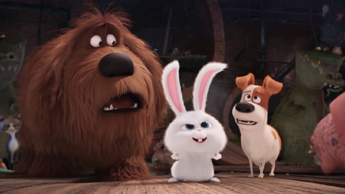 A Pets Story Party will be held in Goulburn Mulwaree Library on Thursday, October 6 from 10.30am to noon to celebrate the new movie The Secret Life of Pets.