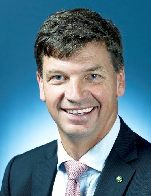 Federal Member for Hume Angus Taylor.