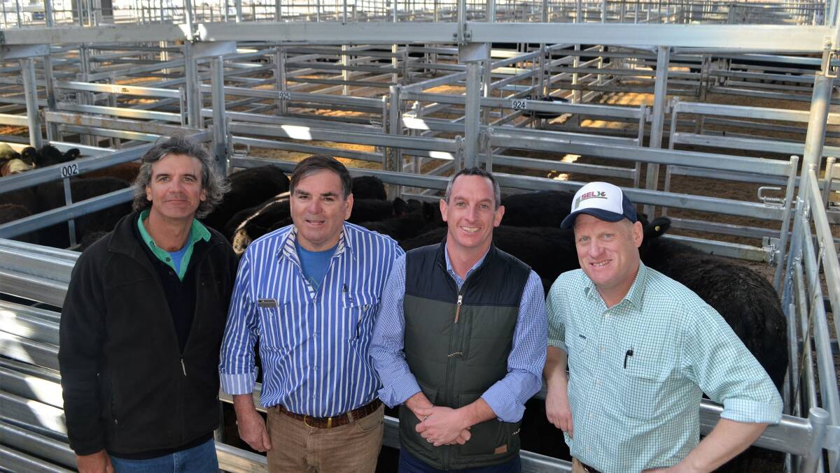 HAPPIER DAYS: Rohan Arnold, third from left, with three of the SELX investors at the saleyard opening in 2016 (L-R) Angus Metcalf (Young), Brendan Abbey and Col Medway (Yass).  