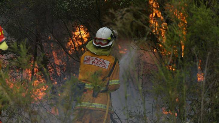 Firefighters tackle a bushfire in Kurri Kurri. Photo: Jonathan Carroll