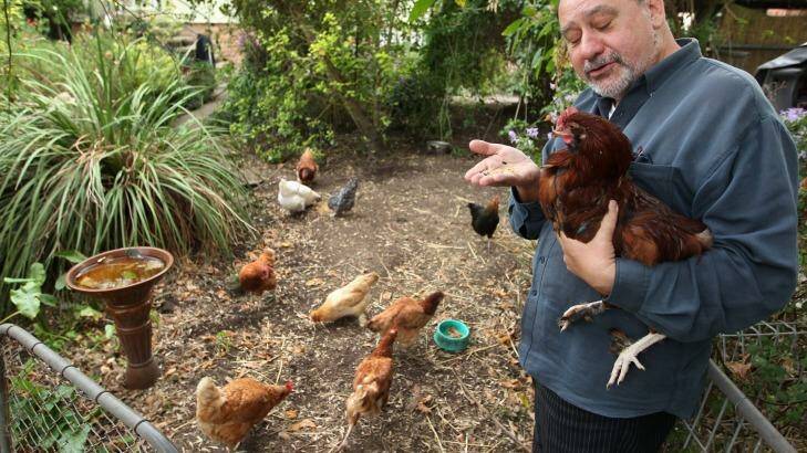 Campaigning to ban battery hens: new MP Mark Pearson. Photo: Max Mason-Hubers