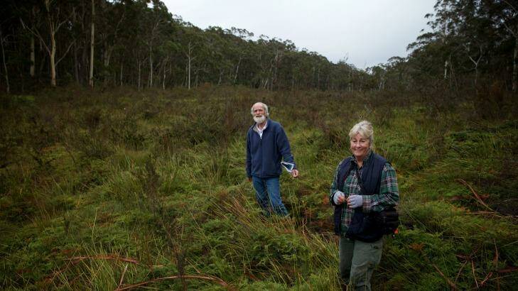 Chris Jonkers and Julie Favell from the Lithgow Environment Group at the pristine Carne West swamp. Photo: Wolter Peeters
