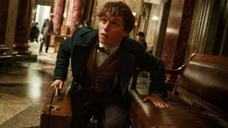 Eddie Redmayne stars as Newt Scamander in <i>Fantastic Beasts and Where To Find Them</i>.