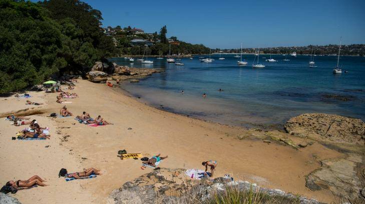 Tim Williams, chief executive of the Committee for Sydney, says a connected walk from Bondi to Manly could be a shining gem. Photo: Wolter Peeters