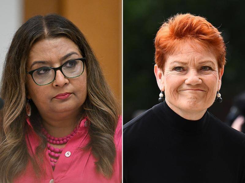 Senator Faruqi's lawyers have lodged an appeal for her case against Senator Hanson to be reopened. (Lukas Coch / Jono Searle/AAP PHOTOS)