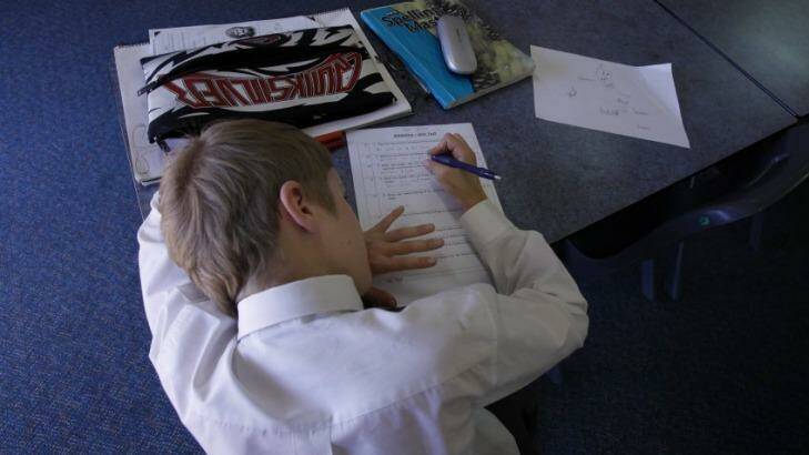 Homework debate: Report finds students who complete more homework do not necessarily do better. Photo: Michele Mossop