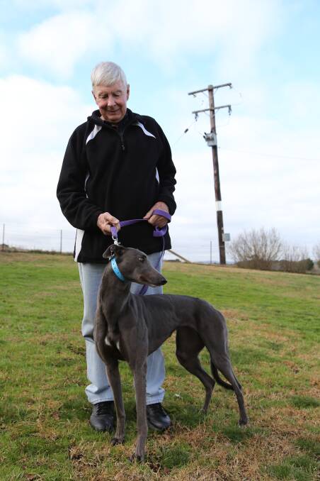 A WAY OF LIFE: Local bookmaker Errol Warren, pictured with Skye (race name Too Many Daddies), is "absolutely shocked" that Premier Mike Baird has announced the end of greyhound racing in NSW. Photo: Brittany Murphy