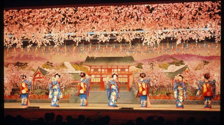 A theatre performance in Kyoto in honour of cherry blossom season.
