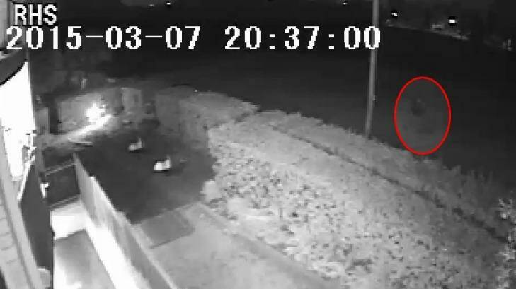 CCTV showing a mysterious figure at the time of the attack on Prabha Kumar. Photo: Supplied