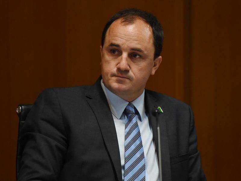 A complaint made against NSW Greens MP Jeremy Buckingham has been suspended by the party's convenor.