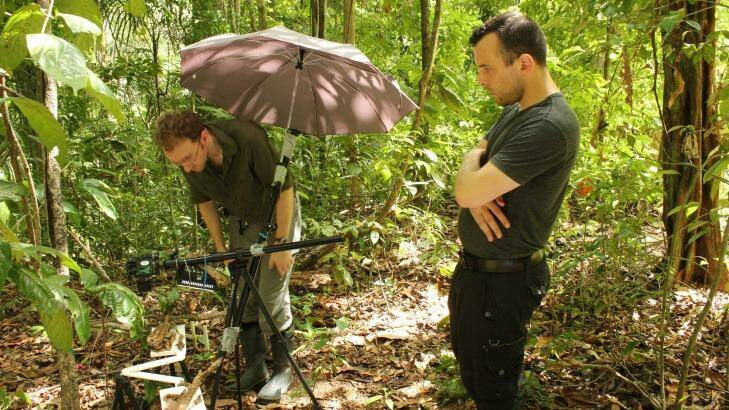 Researchers Chris Reid (left) and Matthew Lutz in the ant jungle. Photo: Chris Reid