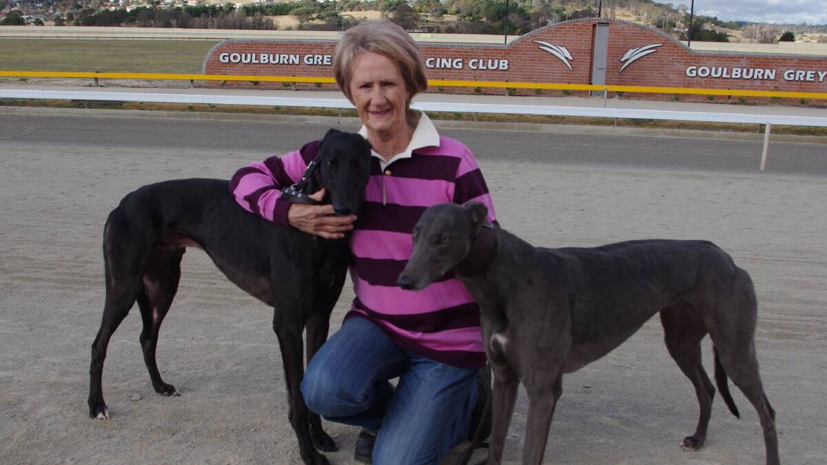 RACE READY: Gotta Problem, affectionately known as Bill (left) and Dusty Moonshine were both keen to go for a run when they turned up at the Goulburn track with trainer Denice Warren on Wednesday. Both will be tested in strong Group One fields at Wentworth Park tomorrow evening.