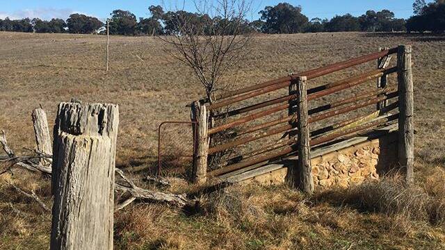 Posted to Instagram by @everyday_designer: "Country life. A walk down a country road. #rusted #outdoors #paddock #farm #goulburn"