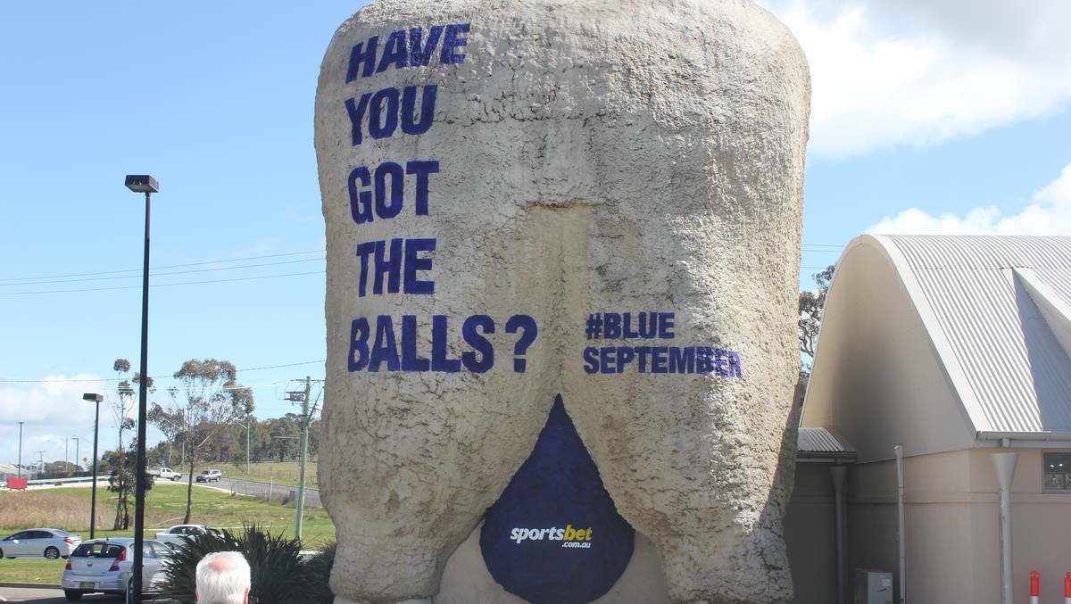 When it comes to ball sports, Goulburn's Big Merino always swings towards the Blues.