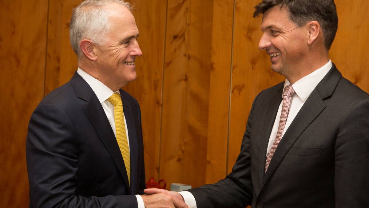 Prime Minister Malcolm Turnbull with Angus Taylor. 