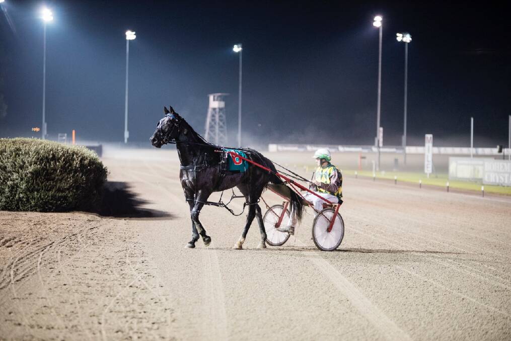 QUALIFYING WIN: Trained and driven by Brad Hewitt, Arma The Gun qualified for Sunday’s race by winning his $25,000 semifinal last Saturday night in a solid 1:52.9 mile. Pictured following the win at Tabcorp Park Menangle. Photo: Ashlea Brennan for Harness Racing NSW. 