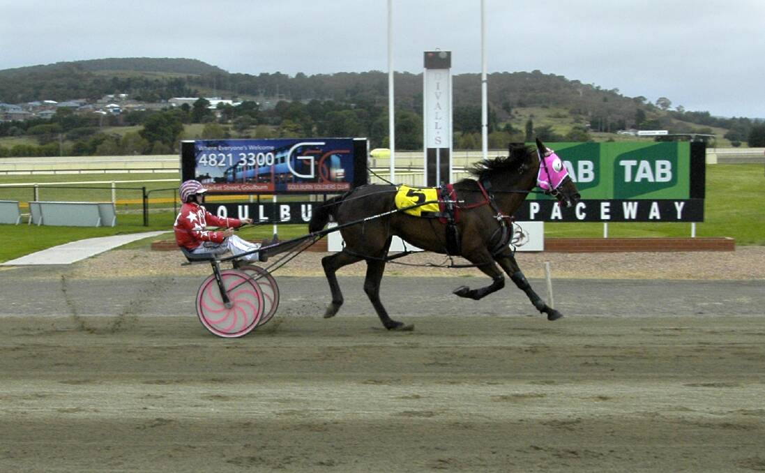 WINNING: Easy On the Eye winning the Goulburn Cup, Ellmer Hanover finished last in that race but will be looking to win first up Monday afternoon. Photo by Greig Lord.